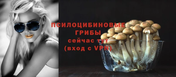 COCAINE Бородино