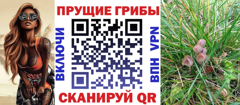Галлюциногенные грибы мухоморы  купить наркотики цена  MEGA tor  Добрянка 
